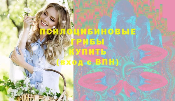 спайс Абинск