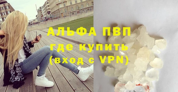 a pvp Абаза