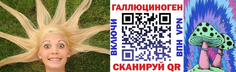 Галлюциногенные грибы GOLDEN TEACHER  mega маркетплейс  Хилок  магазин   